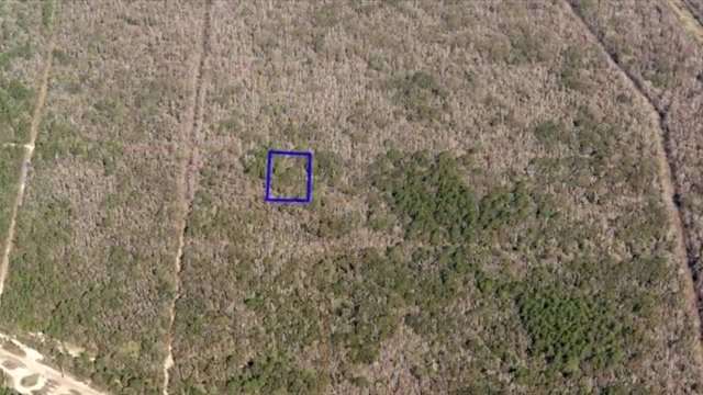 Bought land located miles from roads - WSVN 7News | Miami News, Weather, Sports - Vimarsana News
