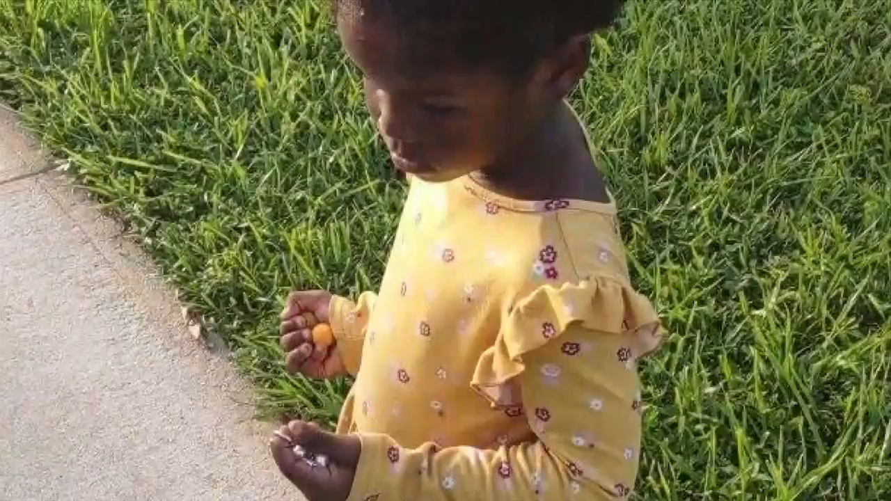 Fort Lauderdale Police locate parent of wandering child found with ...