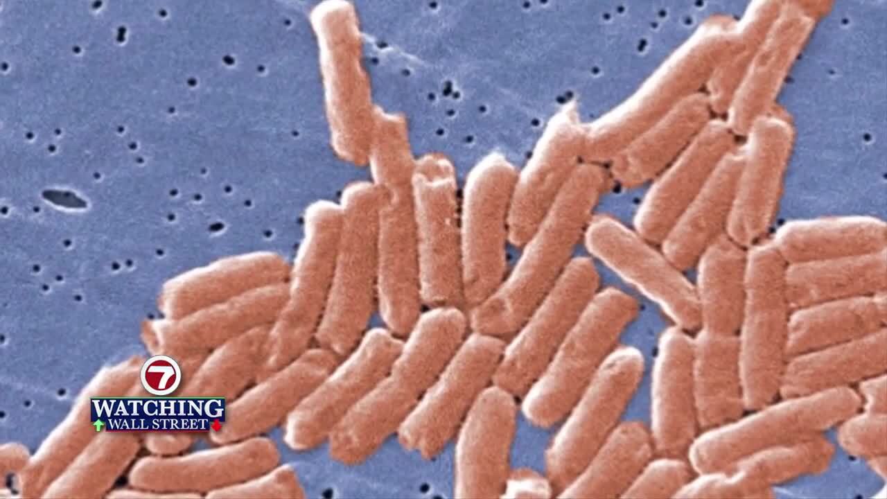 Salmonella in ground beef sickens 16, hospitalizing 6, in 4 states, CDC says WSVN 7News