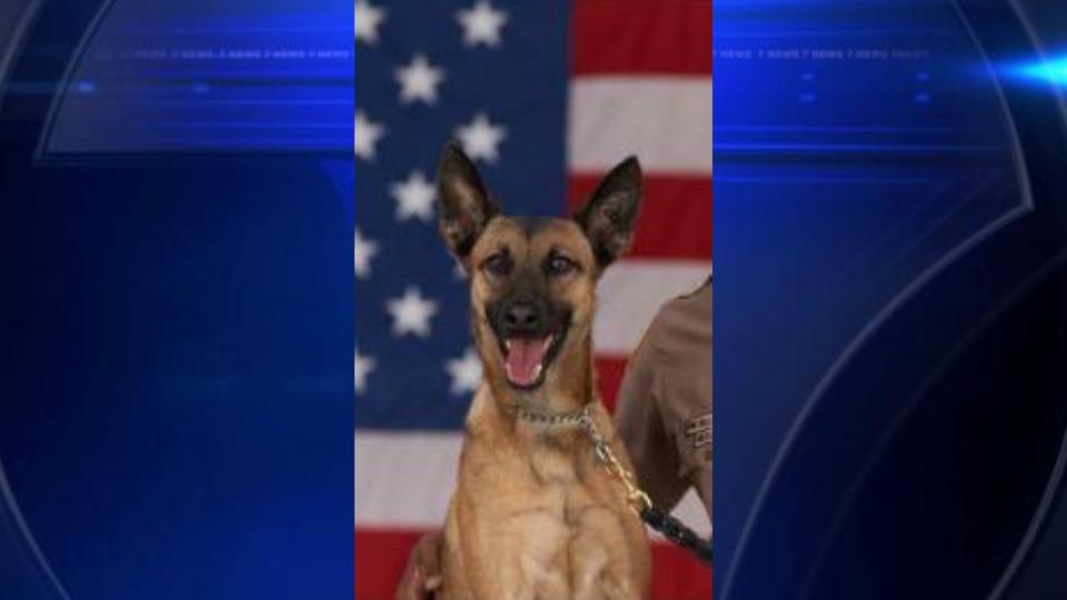 MiamiDade Police Department mourn loss of K9 Zita WSVN 7News