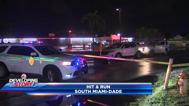 Woman airlifted after being struck by hitandrun driver in South MiamiDade  WSVN 7News  Miami News Weather Sports  Fort Lauderdale