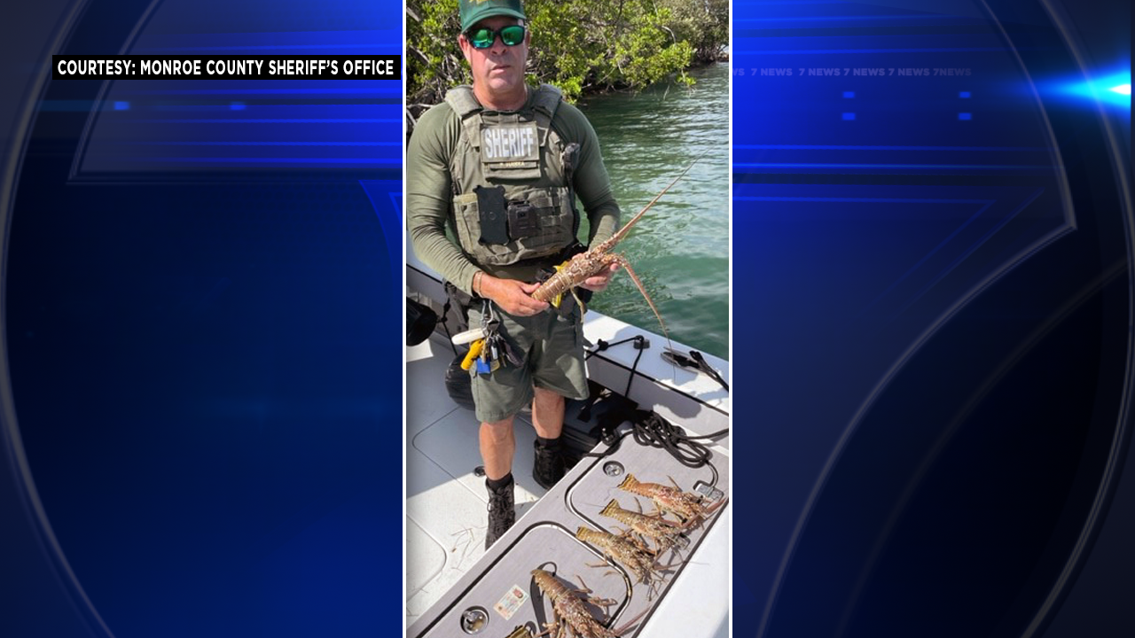 Hialeah man caught with outofseason, overlimit lobster WSVN 7News