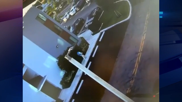 Police search for hit-and-run driver in SW Miami-Dade - WSVN 7News ...