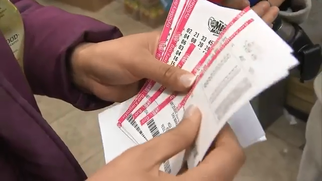 Florida visual data 4