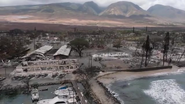 Survivors of Mauis wildfires return home to blackened ruins as death toll rises to 67  WSVN 7News  Miami News Weather Sports  Fort Lauderdale Survivors of Mauis wildfires return home to blackened ruins as death toll rises to 67  WSVN 7News  Miami News Weather Sports  Fort Lauderdale
