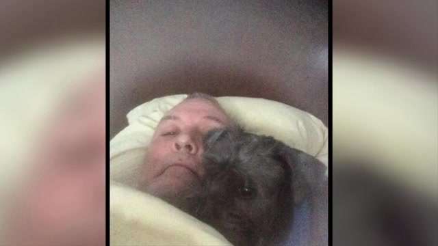 'Please return my child': Dania Beach man beaten while walking dog wants pet back after animal was adopted while he was hospitalized - WSVN 7News | Miami News, Weather, Sports - Vimarsana News