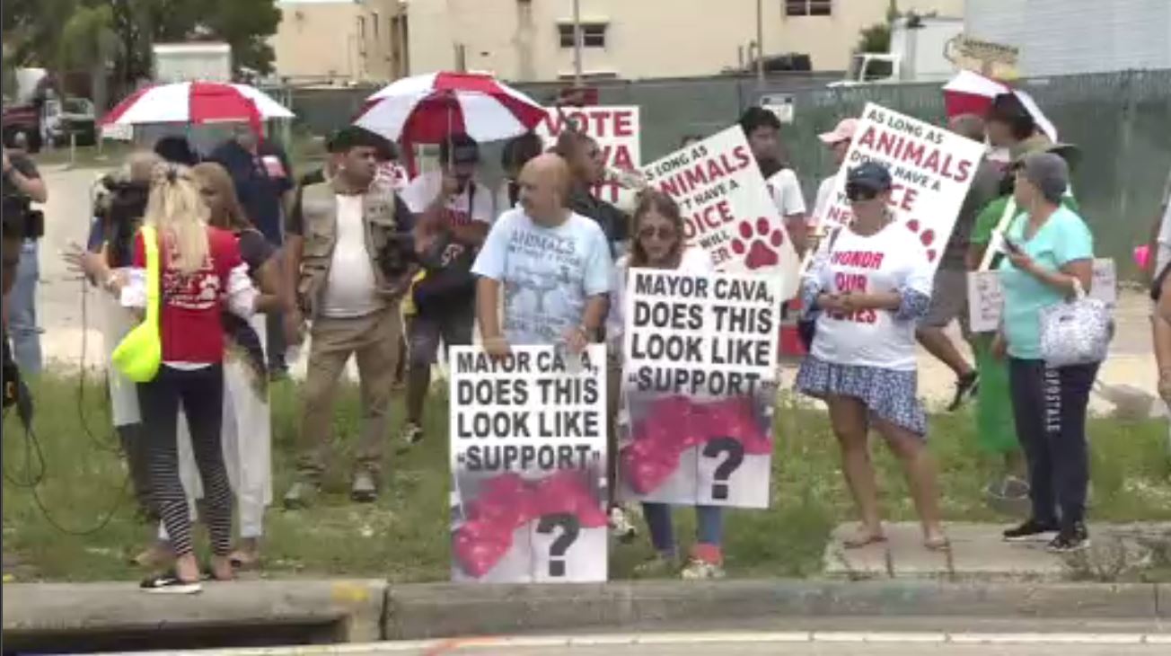 Protesters decry horrible conditions at miami dade animal services