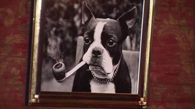 Prized picture frame returned to Vinos Wine Bar on Las Olas after theft caught on camera - WSVN 7News | Miami News, Weather, Sports - Vimarsana News