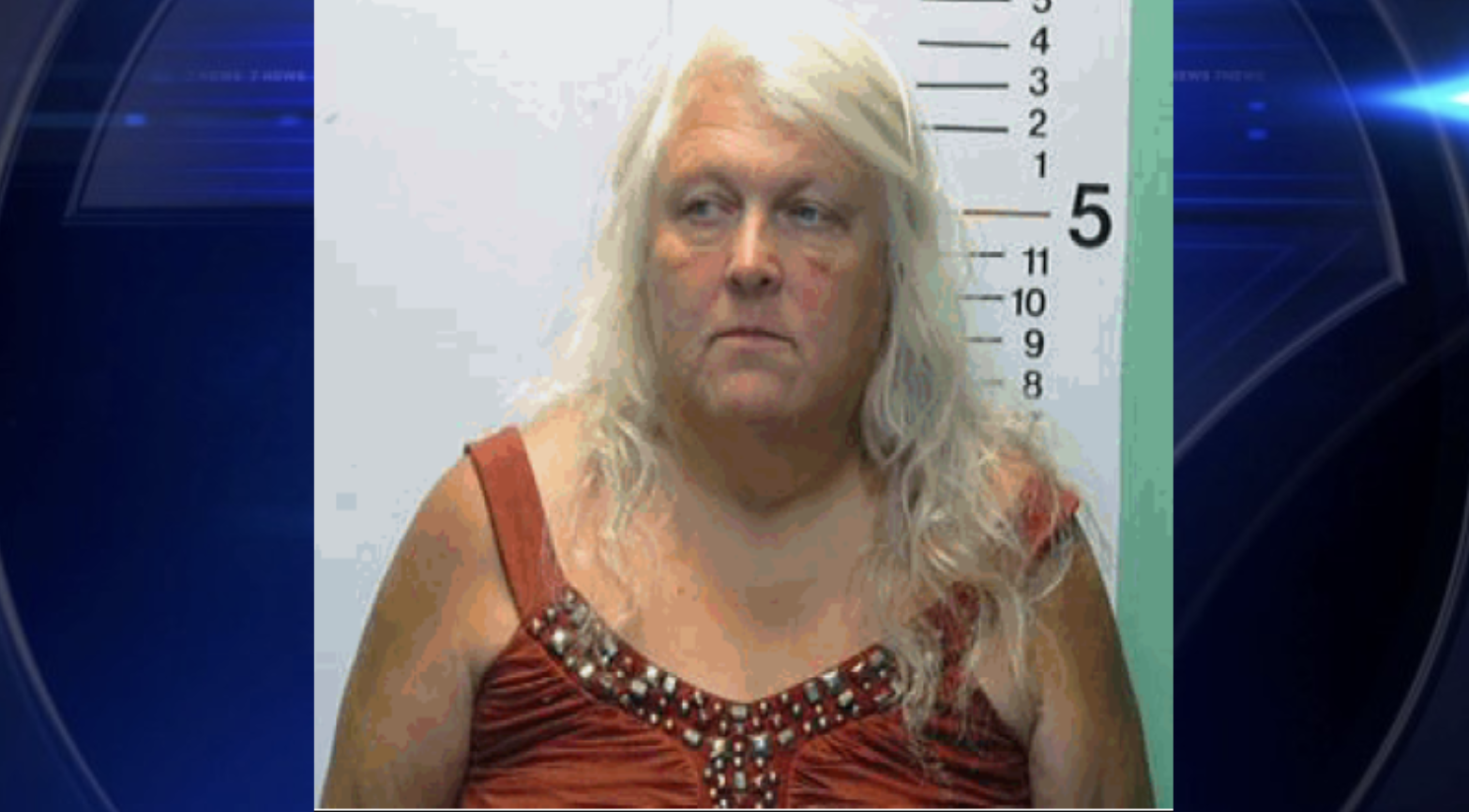 Sheriff: Dog rescue owner arrested after 30 dogs found dead in freezers ...