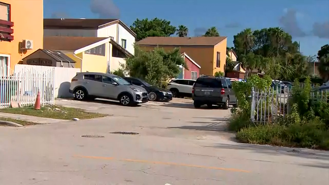 Investigation underway after mother, boyfriend found dead in Miami ...