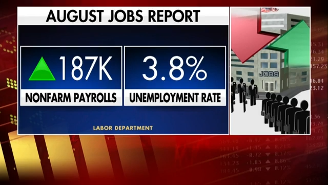 US employers added a solid 187,000 jobs in August in sign of a still-resilient labor market - WSVN 7News | Miami News, Weather, Sports - Vimarsana News