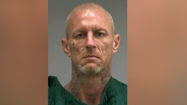Florida man's wild excavator joyride ends in Walmart wreck - WSVN 7News | Miami News, Weather, Sports - Vimarsana News