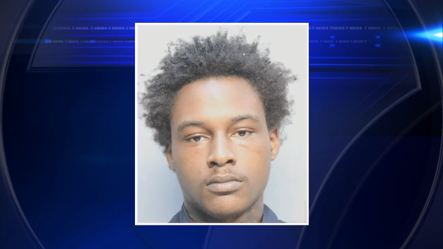Family member arrested after 3-year-old accidentally shoots self while gun left unattended - WSVN 7News | Miami News, Weather, Sports - Vimarsana News
