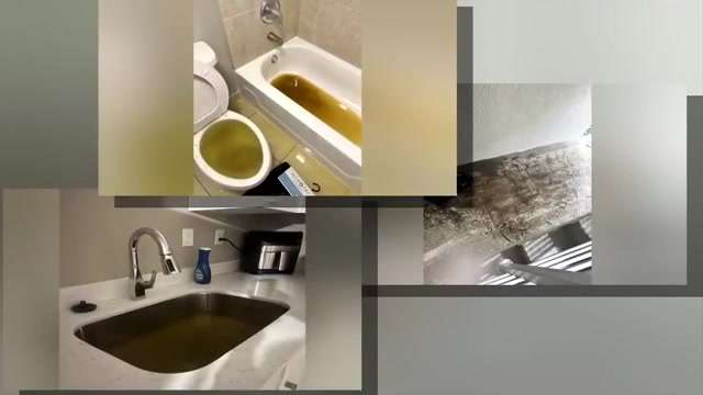 UM students dealing with unsanitary, unsafe living conditions after moving into The Cloisters off-campus apartments - WSVN 7News | Miami News, Weather, Sports - Vimarsana News