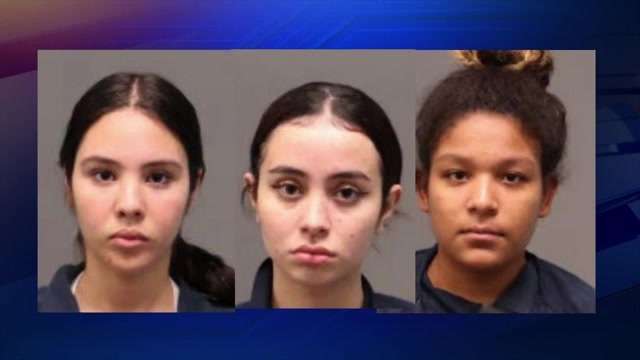 4 teenage girls arrested in connection to Lincoln Road beating of Surf Style employees - WSVN 7News | Miami News, Weather, Sports - Vimarsana News