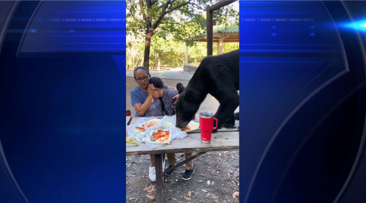 Mexican mother bravely shields her son as bear leaps on picnic table to