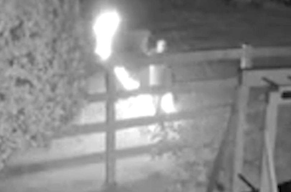 BSO seeks public assistance in identifying juveniles behind violent vandalism spree targeting Parkland home - WSVN 7News | Miami News, Weather, Sports - Vimarsana News