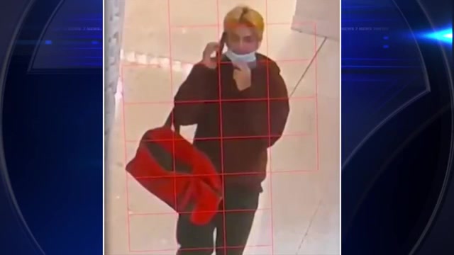 Miami woman says burglar stole French bulldog valuables and cash from apartment WSVN 7News Miami News Weather Sports Fort Lauderdale Miami woman says burglar stole French bulldog valuables and cash from apartment WSVN 7News Miami News Weather Sports Fort Lauderdale