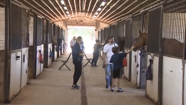 Children share stories, smiles with horses at Tradewinds Park and Stables - WSVN 7News | Miami News, Weather, Sports - Vimarsana News