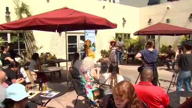 Banned Books Tour 2023 stops in Coral Gables to shine spotlight on titles pulled from school shelves - WSVN 7News | Miami News, Weather, Sports - Vimarsana News
