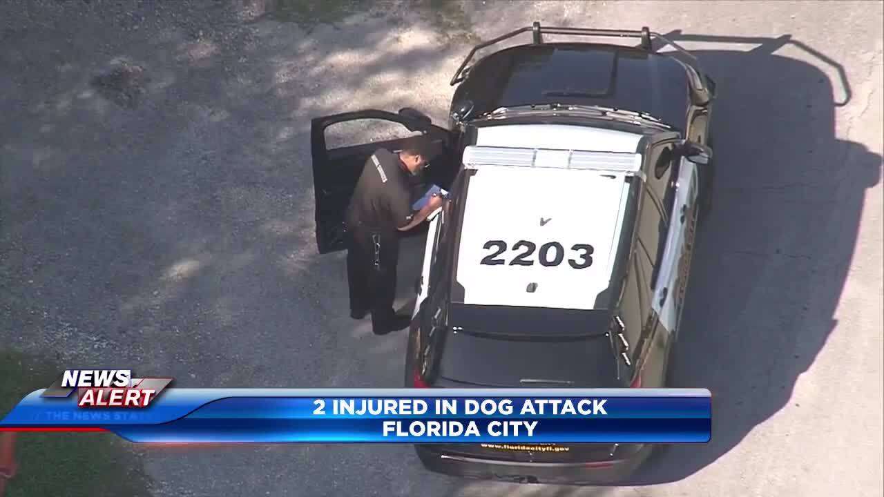 Woman transported to hospital after dog attack in Florida City - WSVN ...
