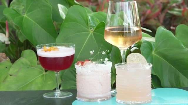 Arlo Wynwood unveils 4 pink-colored drinks to help benefit National Breast Cancer Foundation - WSVN 7News | Miami News, Weather, Sports - Vimarsana News