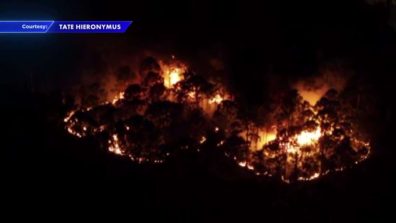 Flames engulf nature preserve in Coconut Creek - WSVN 7News | Miami News, Weather, Sports - Vimarsana News