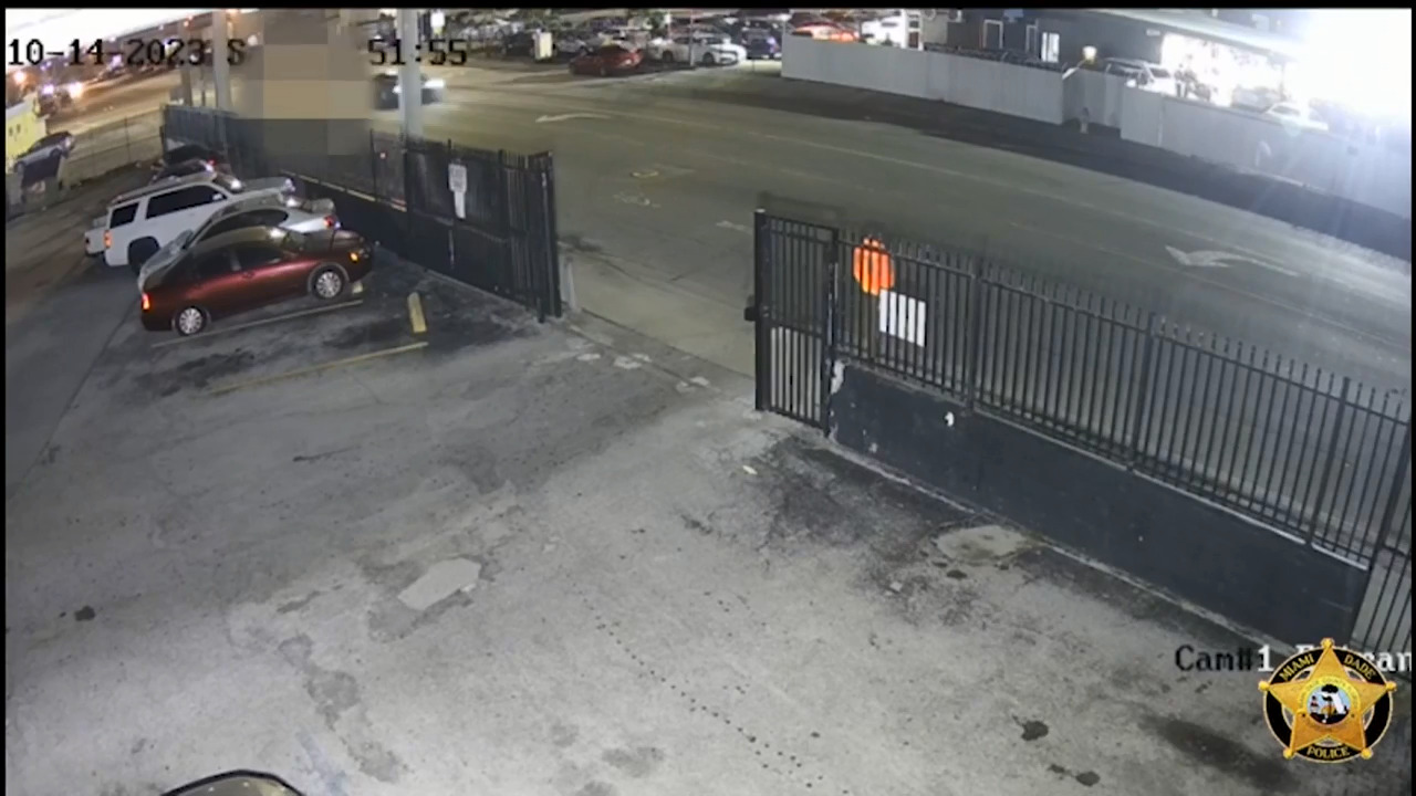 New video released in deadly hitandrun in Opalocka Police seek