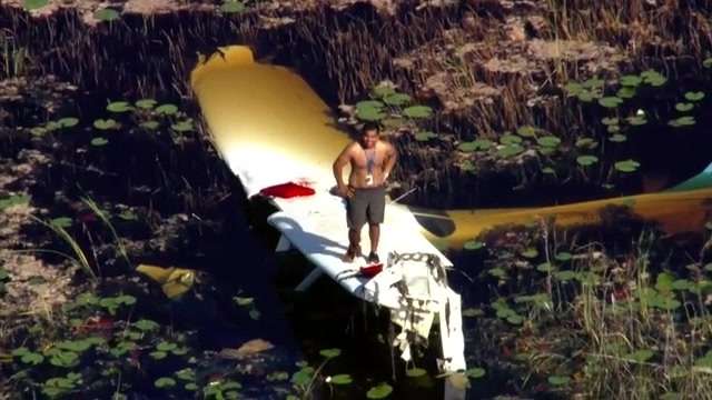 Flight school: Pilot who crashed in Everglades expected to make full recovery - WSVN 7News | Miami News, Weather, Sports - Vimarsana News