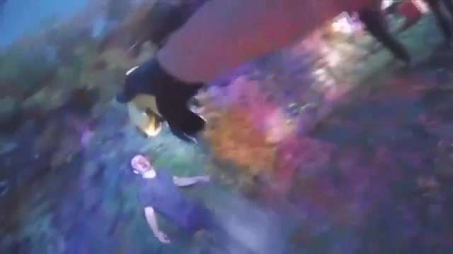 Federal lawsuit alleges Monroe deputies used excessive force in Taser takedown of 20-year-old after traumatic crash - WSVN 7News | Miami News, Weather, Sports - Vimarsana News