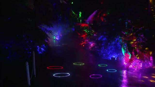 NightGarden's 5th year at Fairchild Tropical Botanic Garden features more lights, new installations - WSVN 7News | Miami News, Weather, Sports - Vimarsana News