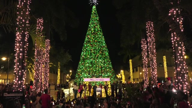 Symphony in Lights kicks off holiday season at Gulfstream Park – WSVN 7News | Miami News, Weather, Sports