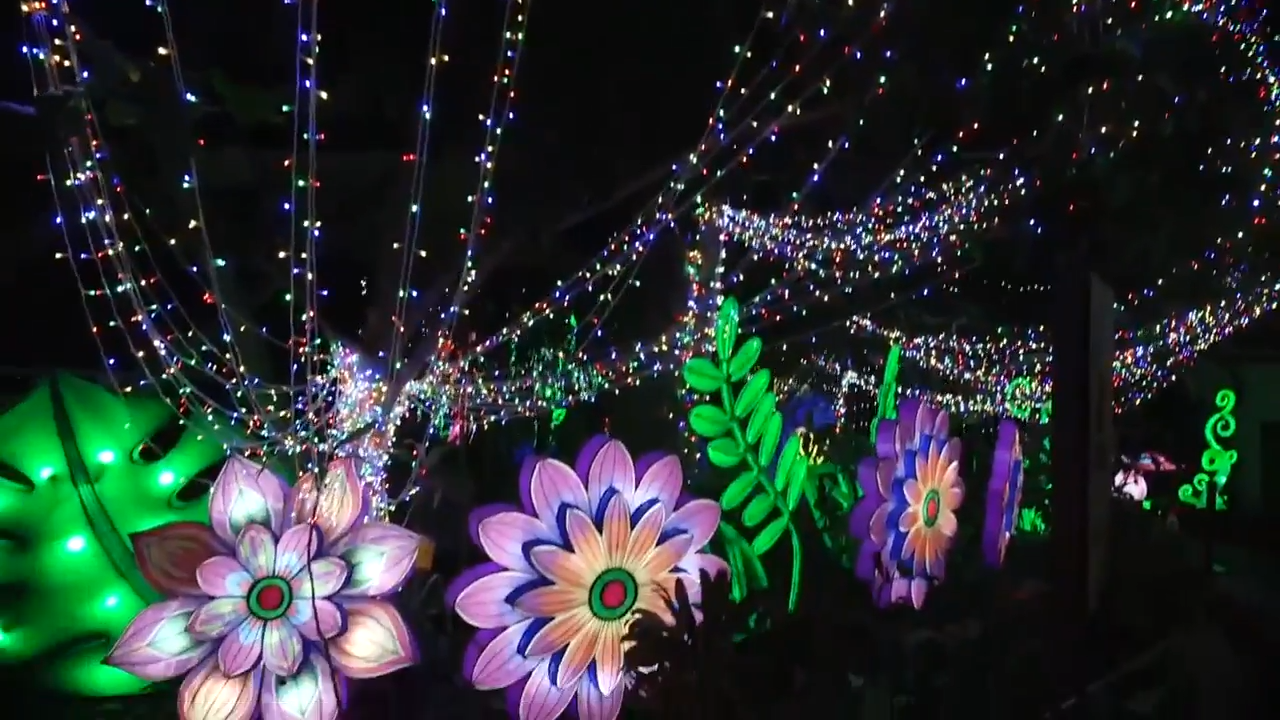 Luminosa at Jungle Island returns after 4 years to light up your world