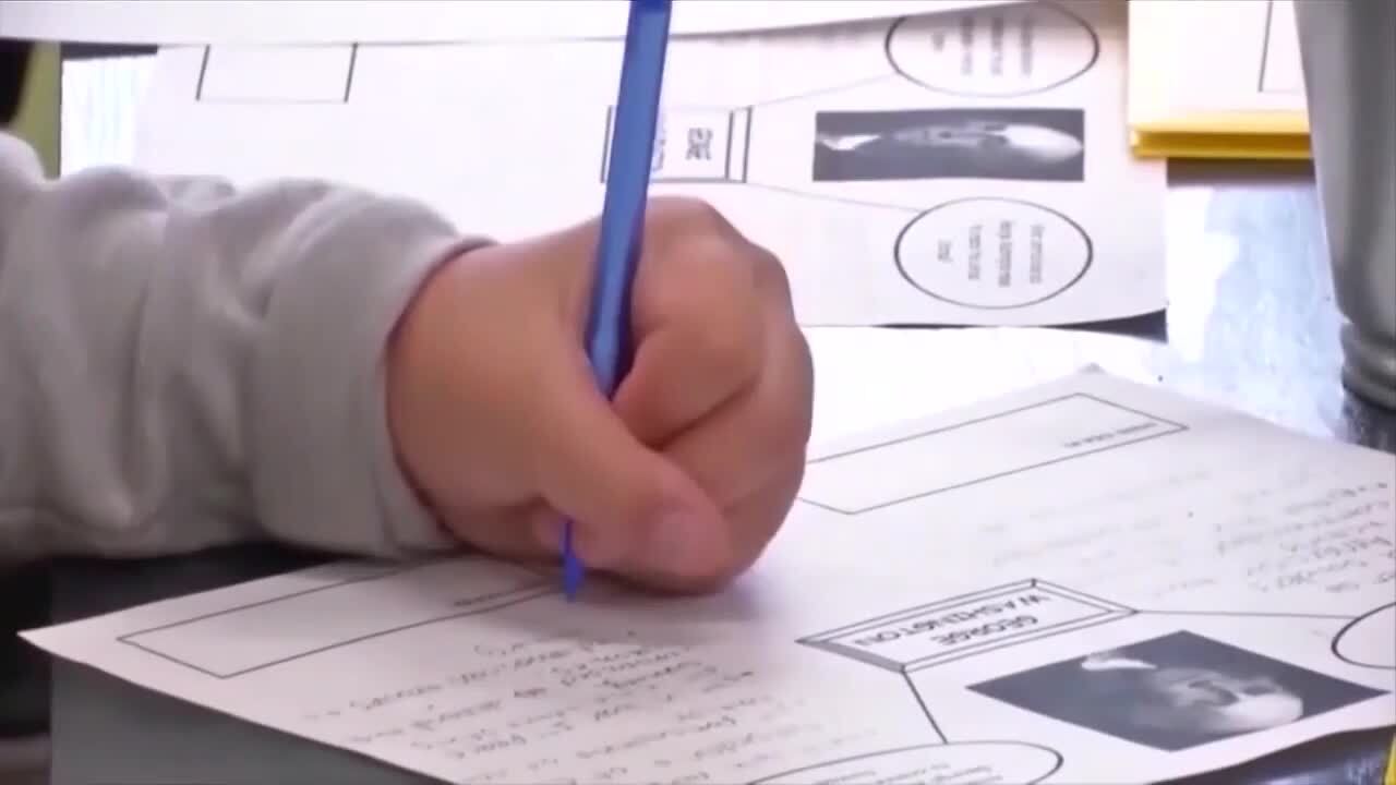 Florida school grades are released here is where south florida school
