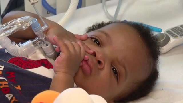 South Florida NICU baby, born premature with chronic lung issues, celebrates first birthday - WSVN 7News | Miami News, Weather, Sports - Vimarsana News