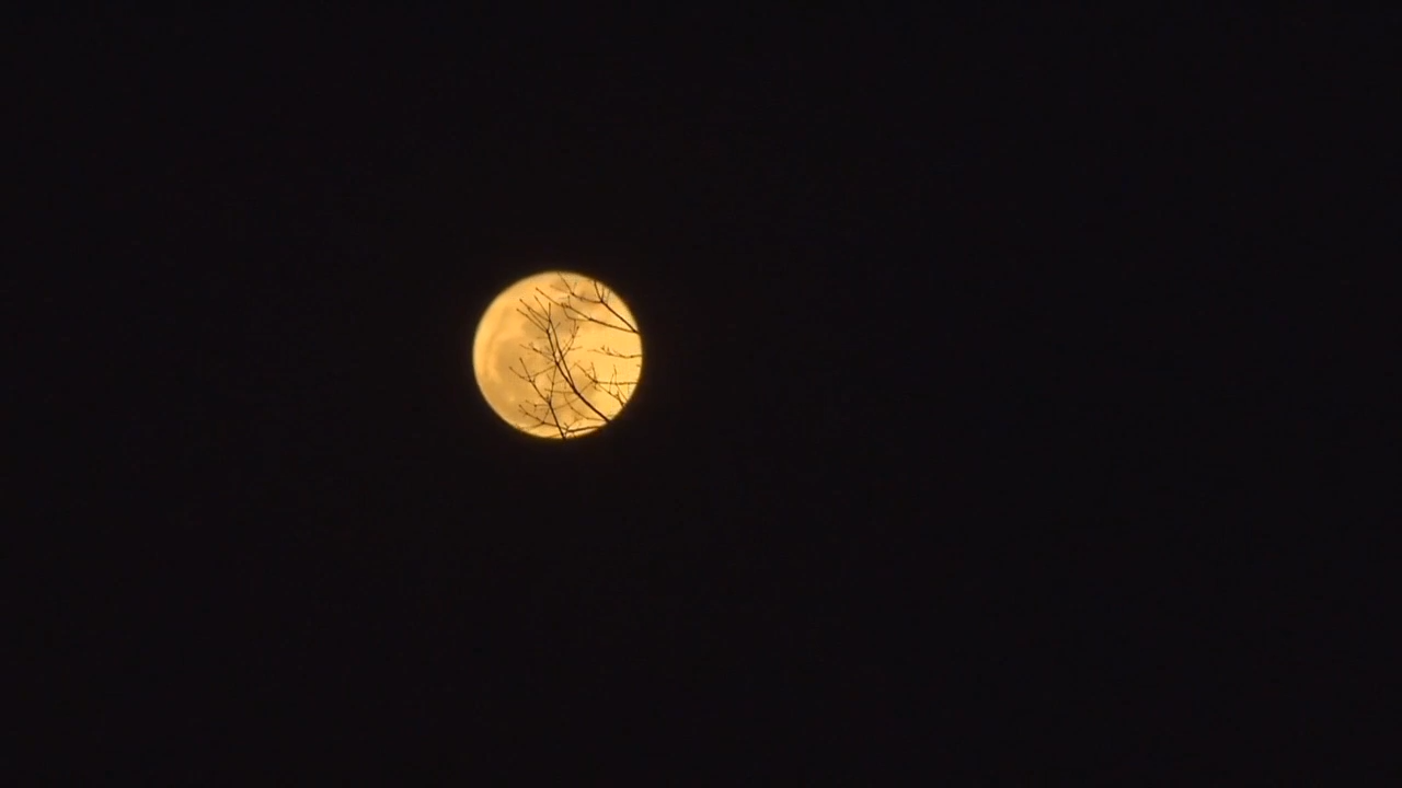 Earth's moon is shrinking. Here's what scientists say that could mean - WSVN 7News | Miami News, Weather, Sports - Vimarsana News