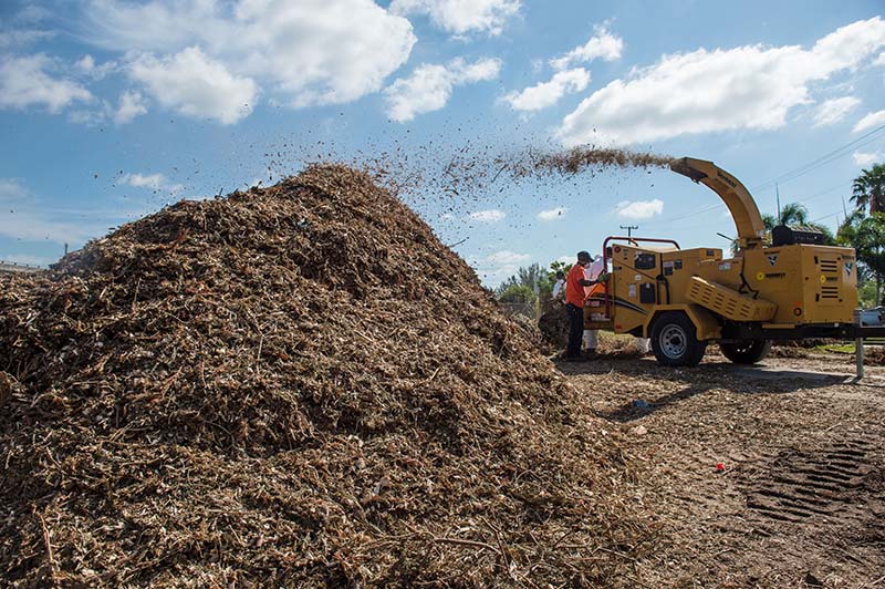 Transforming holiday trees into mulch MiamiDade County launches Christmas Tree Recycling