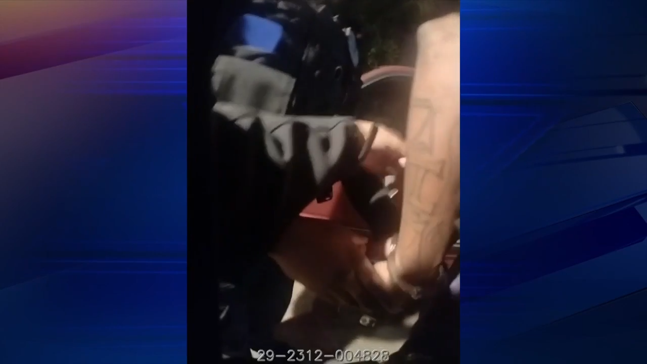 Prostitutes Lauderhill