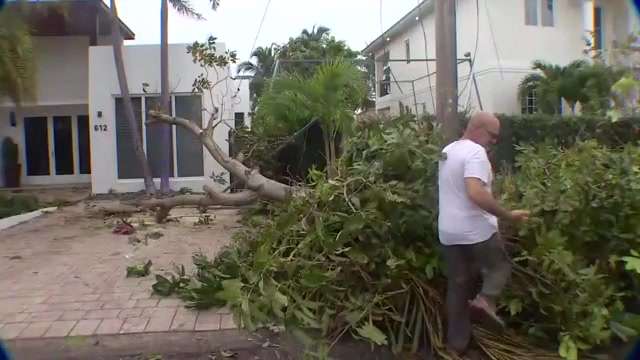 Cleanup underway in Fort Lauderdale neighborhoods affected by EF-0 tornado - WSVN 7News | Miami News, Weather, Sports - Vimarsana News