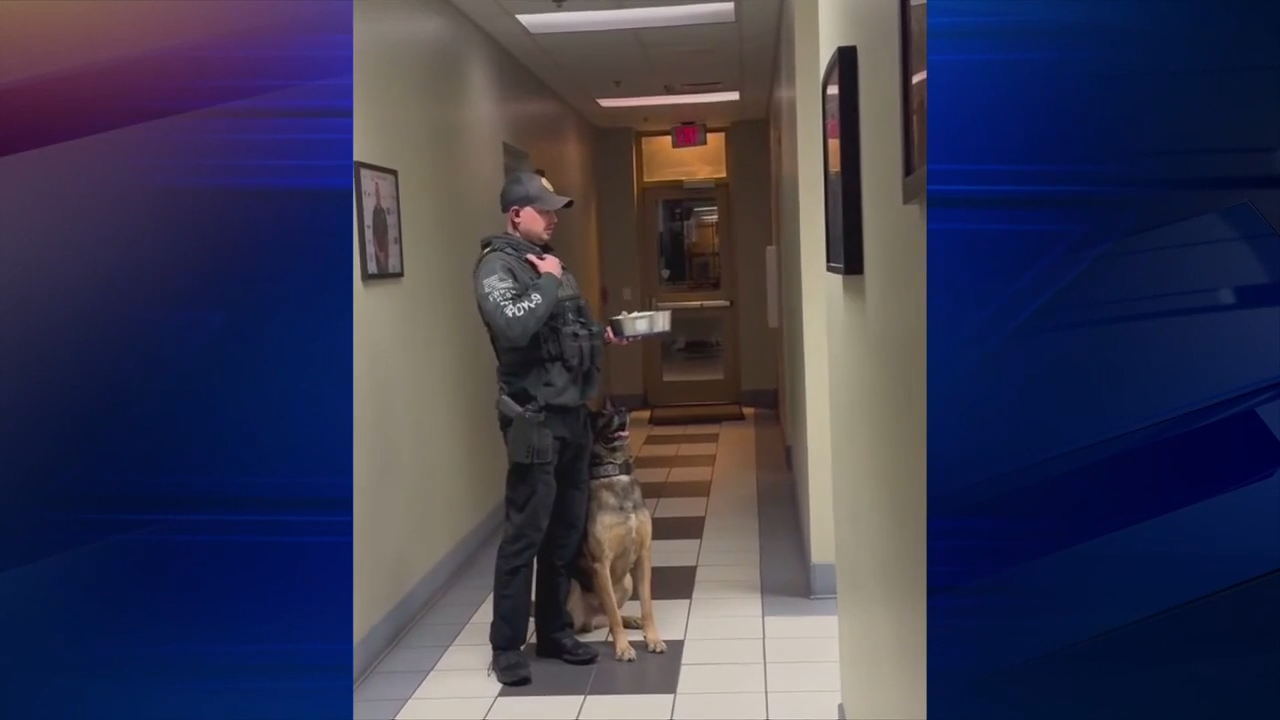 Florida K9 officer retires, receives heartwarming farewell WSVN