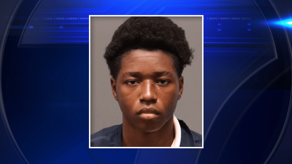 Olivia DiVenti WSVN 7News Miami News, Weather, Sports Fort Lauderdale