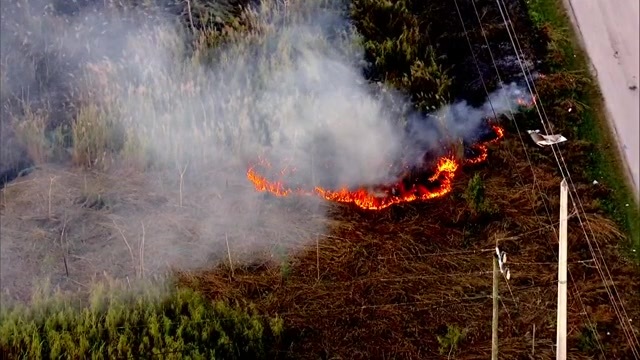 Grass fire burns 30 acres in South Miami-Dade; no injuries – WSVN 7News | Miami News, Weather, Sports