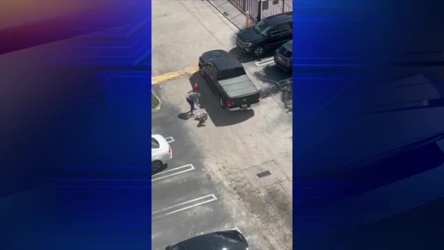 Video shows brutal dog mauling in parking lot of Miami apartments; owner says pet attacked got 40 stitches – WSVN 7News | Miami News, Weather, Sports