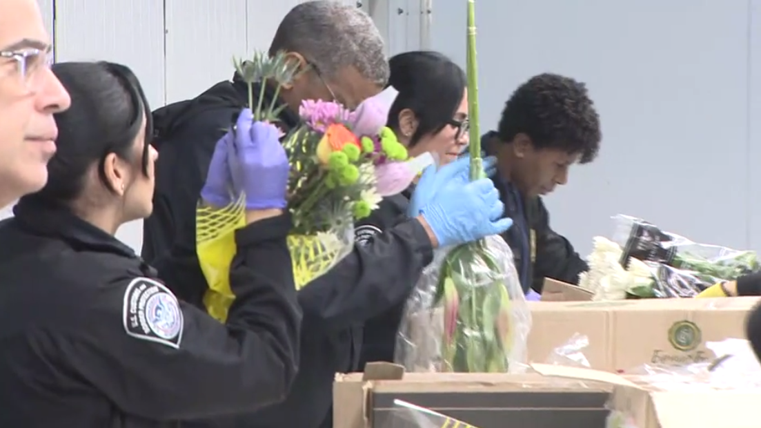 Love (and 460 million flowers) are in the air for Valentine's Day, but not without a Miami layover - WSVN 7News | Miami News, Weather, Sports - Vimarsana News