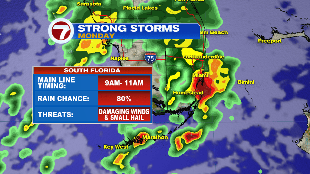 Rounds of Rain & Storms - WSVN 7News | Miami News, Weather, Sports ...