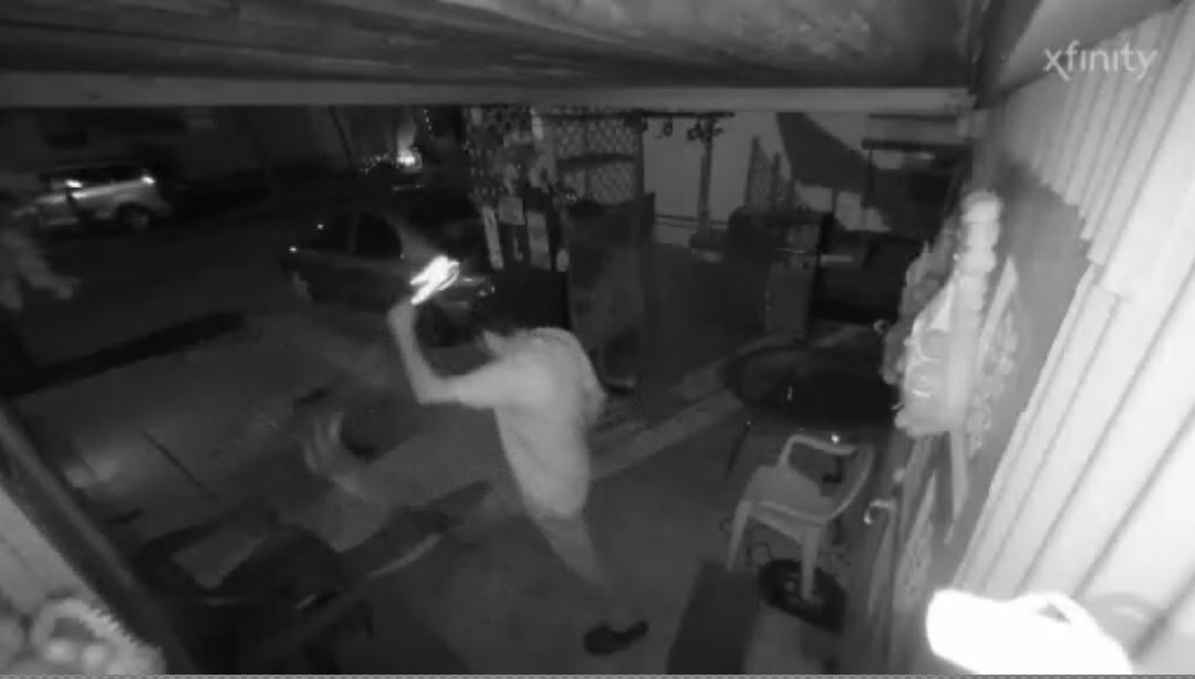 Video shows man kicking dog out of NE Miami-Dade home; ‘Pepe’ being cared for at Sunrise facility – WSVN 7News | Miami News, Weather, Sports