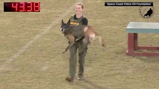 ‘I was able to reel him back in’: Brevard County Sheriff’s Office ...