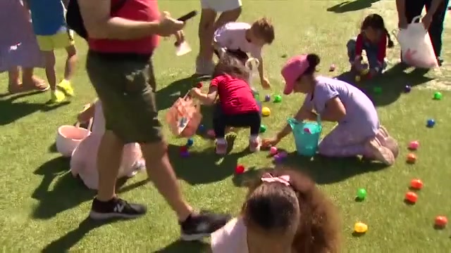 Easter Egg Hunts Taking Place at Museum of Discovery and Science and Flamingo Park Softball Stadium- WSVN 7News | Miami Updates on News, Weather, and Sports
