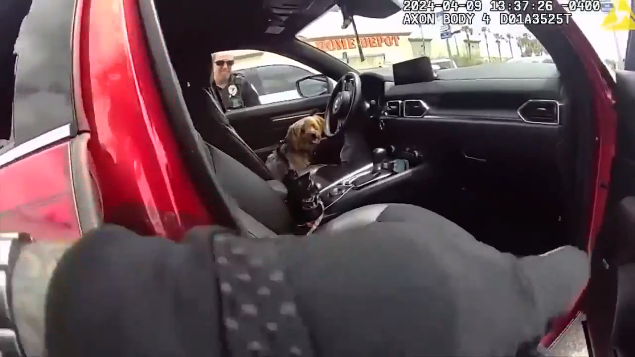 Port St. Lucie officer saves dog from sweltering car; owner charged with animal cruelty - WSVN 7News | Miami News, Weather, Sports - Vimarsana News