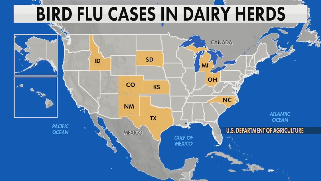 Spikes of flu virus in wastewater raise questions about spread of bird flu WSVN 7News Miami